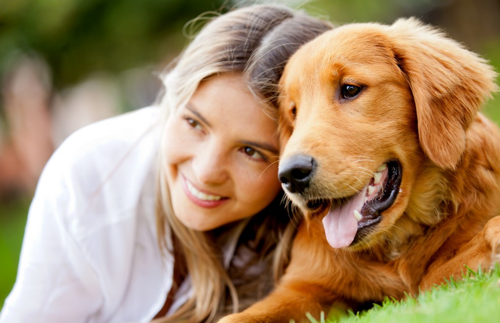 5 Smart tips to consider when choosing a dog